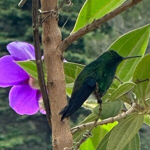 Meet your Posher, Valerie